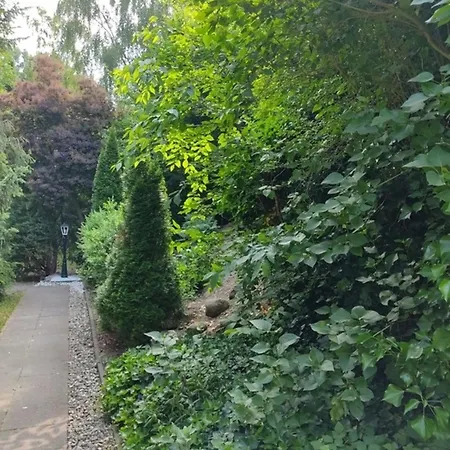 Appartementhaus Rosengarten - A3 Διαμέρισμα Neustadt in Holstein