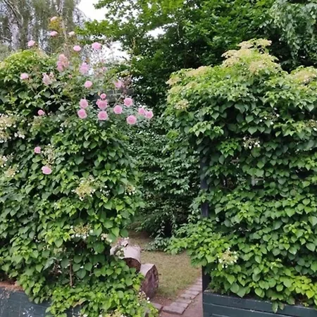 Διαμέρισμα Appartementhaus Rosengarten - A3