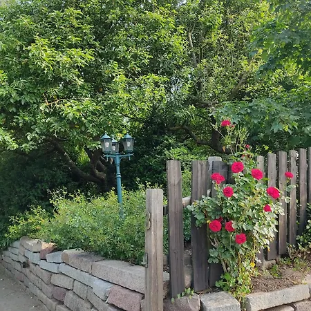 Appartementhaus Rosengarten - A3 Διαμέρισμα Neustadt in Holstein