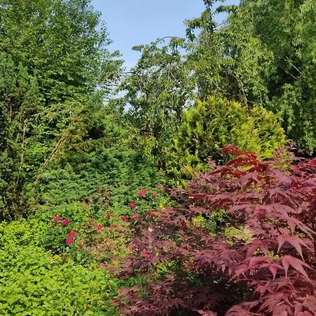 Appartementhaus Rosengarten - A3 Neustadt in Holstein