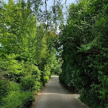 Appartementhaus Rosengarten - A3 Διαμέρισμα *